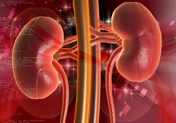 Kidney Disorders