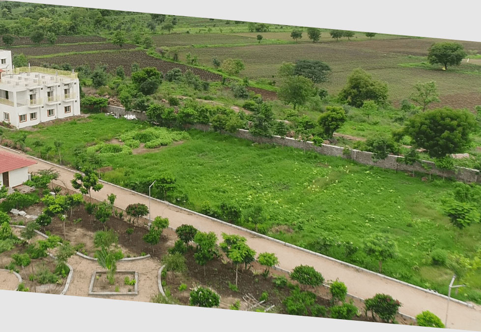 Sanjeeevani-kitchen-garden